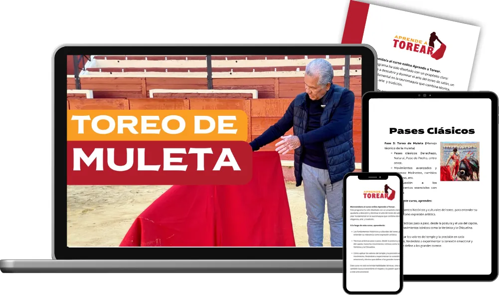 Módulo 3: Toreo de Muleta